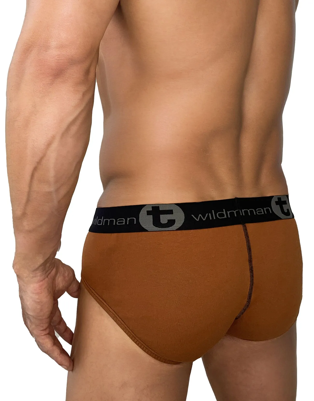 Big Boy Pouch Cotton Brief with Stripe Brown and Tan