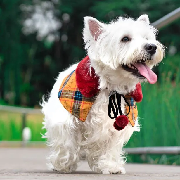 Scarlet Faux Fur Collar Trench Coat in Autumn Brown Tartan